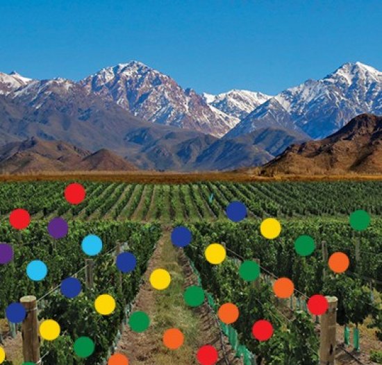 destino-mendoza